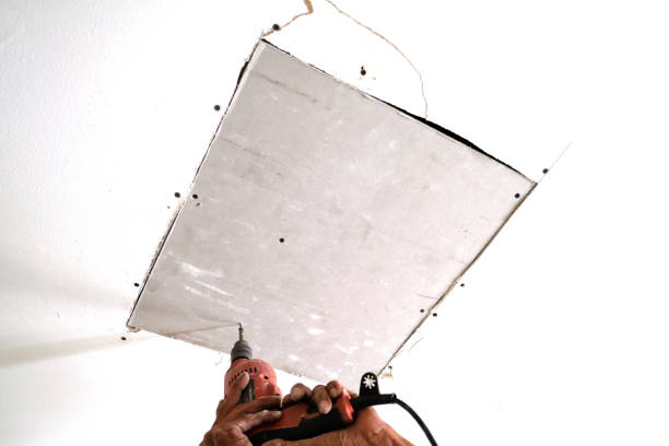 The  Function of  Specialist Consultation in Drywall  Layout in Colorado